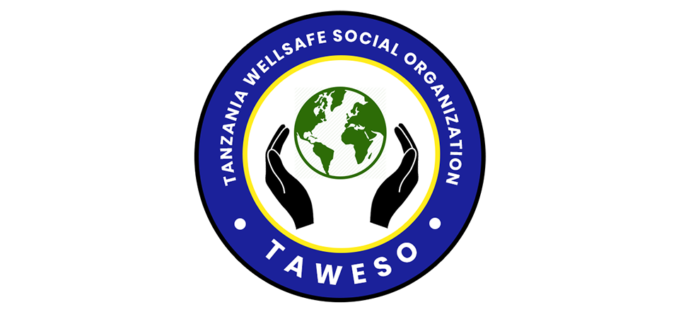 TAWESO logo